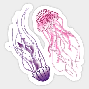 Pink and Purple Jellyfish Sticker